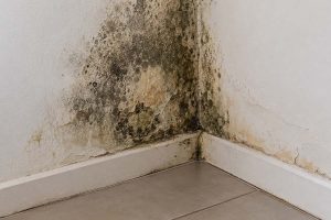 caca vazamento bauru post mofo piso solto parede umida sinais de vazamento