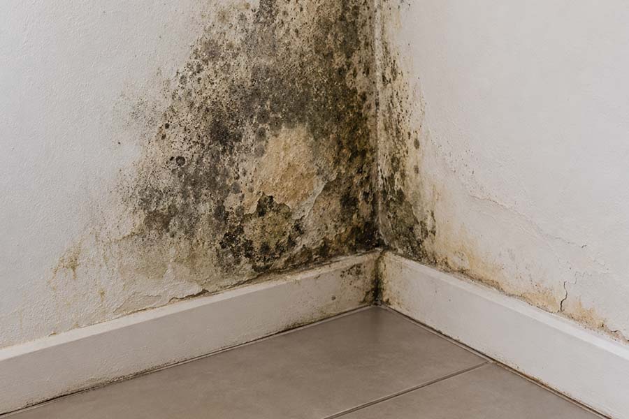 No momento, você está visualizando Mofo, Piso Solto e Parede Úmida: Sinais de Vazamento